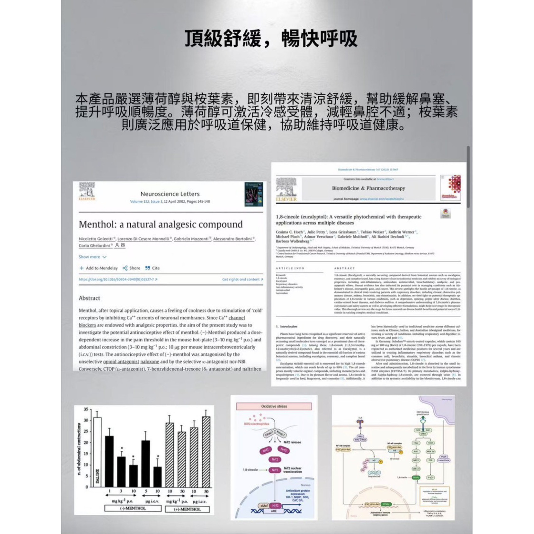 <p><strong>C-X電子鼻通棒 600-800口</strong></p>